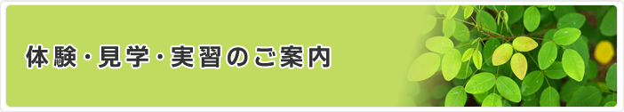 体験・見学・実習のご案内